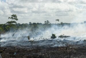 apklausa:-devyni-is-desimties-lietuviu-klimato-kaita-laiko-rimta-problema