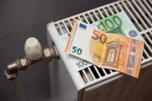 kompensaciju-prasytoju-turtas-vel-bus-vertinamas:-turintys-buta-ir-sodo-nameli-paramos-nepraras