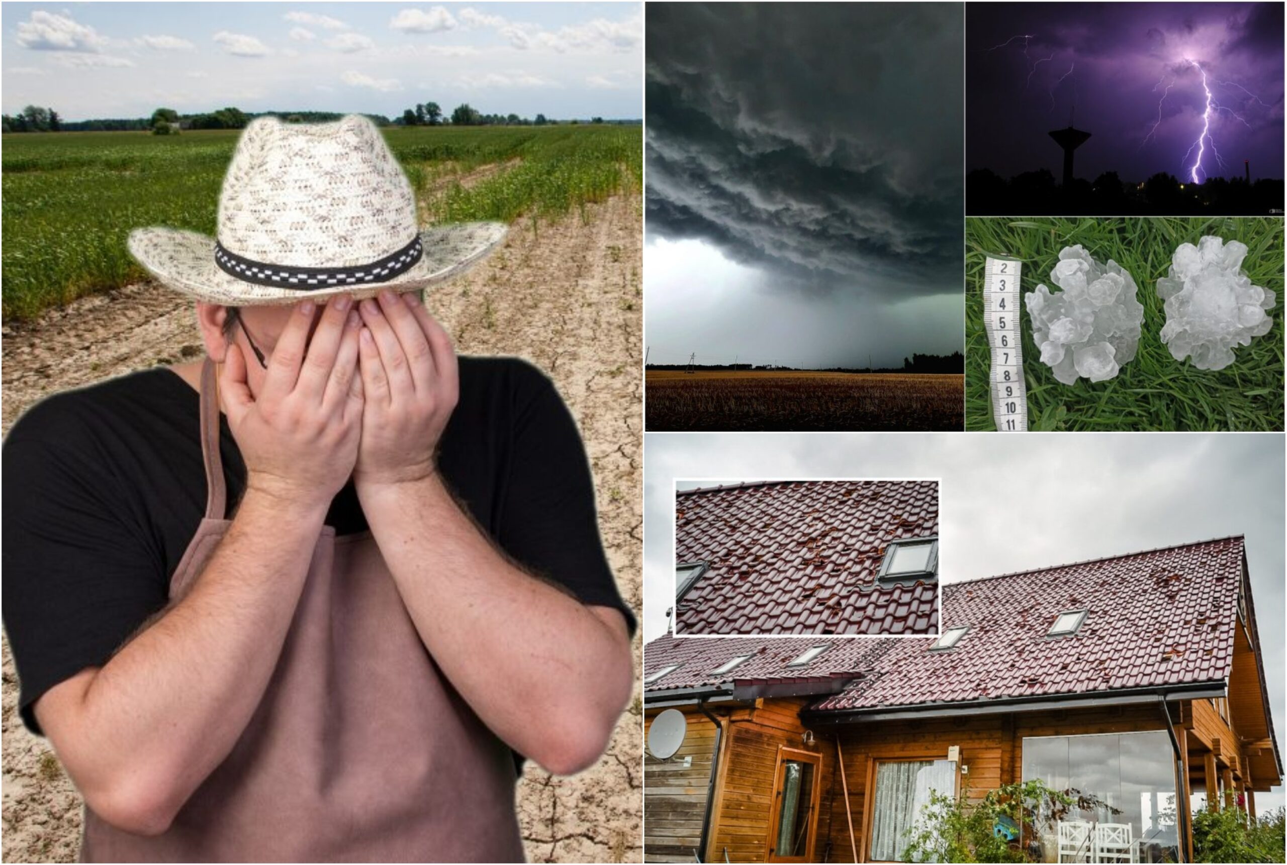 per-10-minuciu-–-10-mln.-euru-nuostoliu:-ukininkams-gresia-bankrotai?