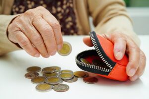 seimas-–-pries-papildoma-individualios-pensiju-dalies-didinima
