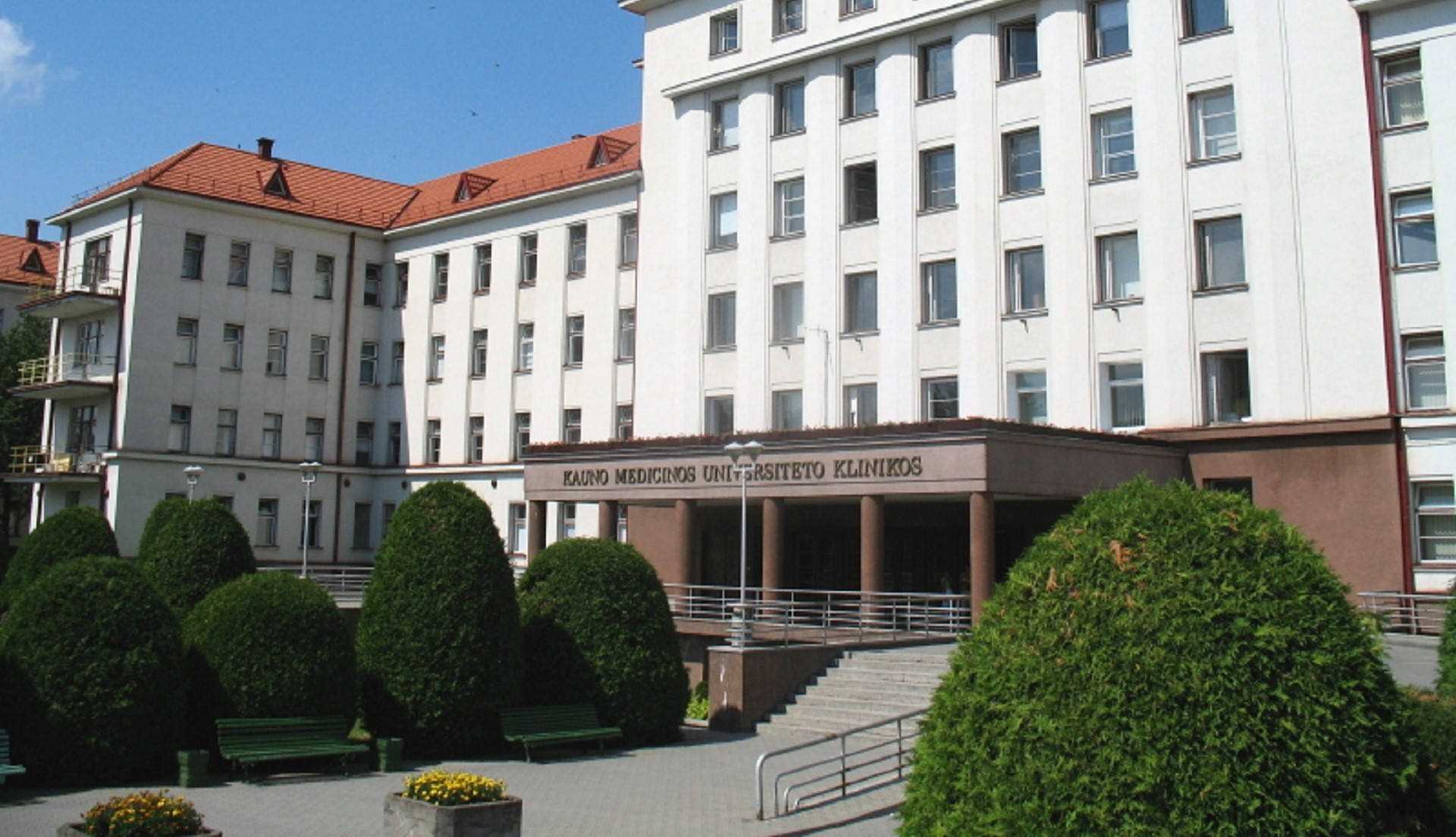 kauno-klinikose-kepenu-transplantacija-atlikta-vyriausiai-pacientei