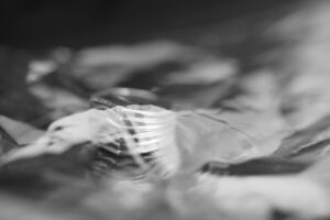 raudondvaryje-pristatoma-autorines-juvelyrikos-ir-fotografijos-paroda-„infinite“